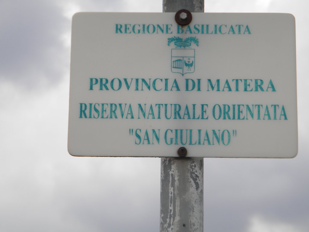 DSCN2672 .JPG